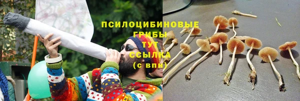 тгк Балабаново