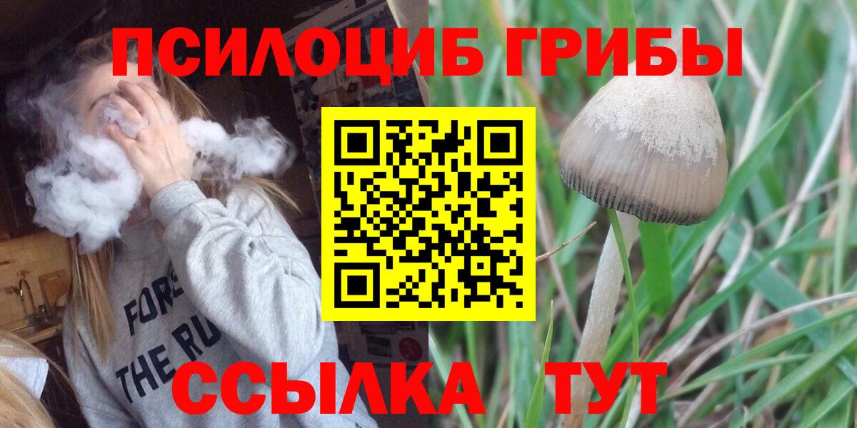 Галлюциногенные грибы мицелий Ульяновск
