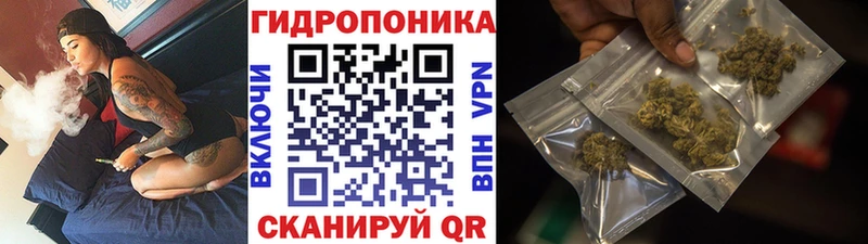 маркетплейс официальный сайт Ульяновск Бошки Шишки AK-47